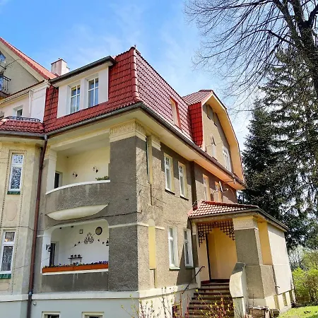 Daisy שצ'צ'אוונו-ז'דראוג'